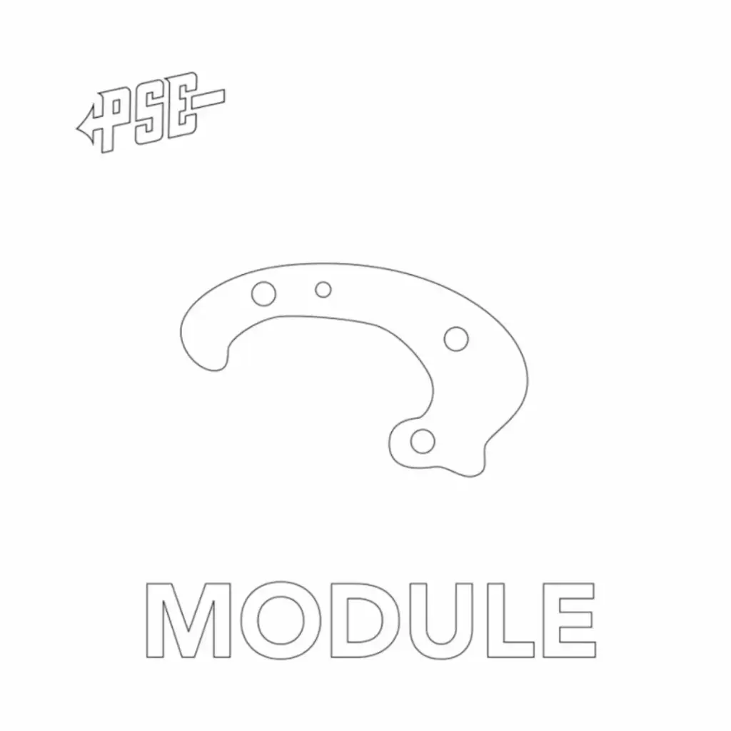 PSE MODULE M2